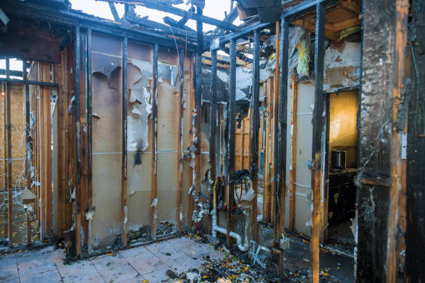 Professional Fire Damage Removal technician working in Wickes, AR